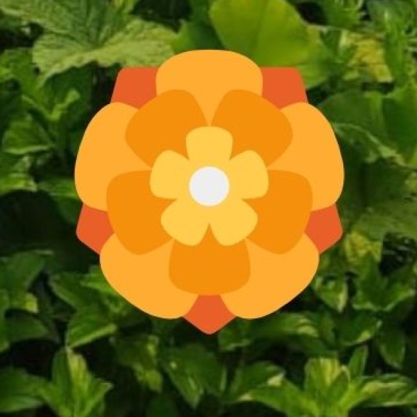 Best Time to Visit Meerut