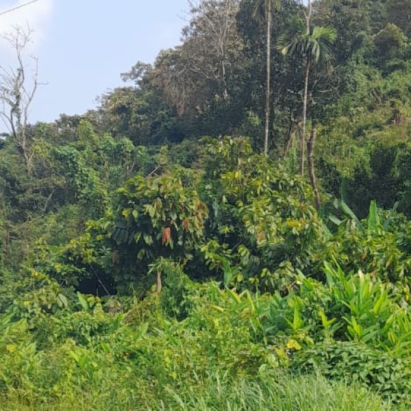 Travel Tips & Safety