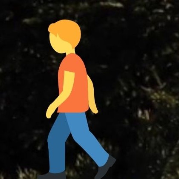 Travel Tips & Safety