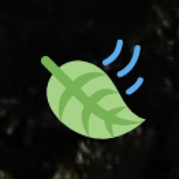 Connectivity & Internet