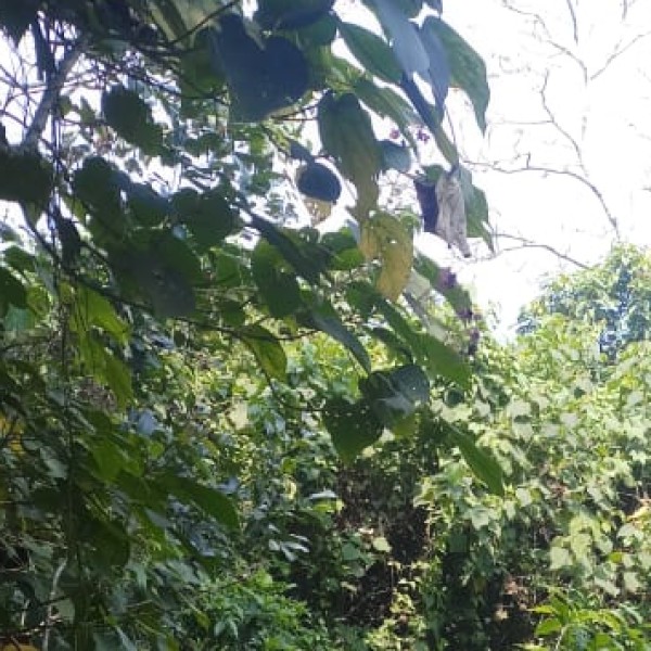 Travel Tips & Safety