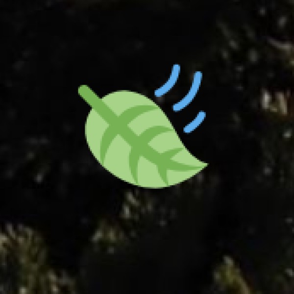 How to Travel Safely to Agra