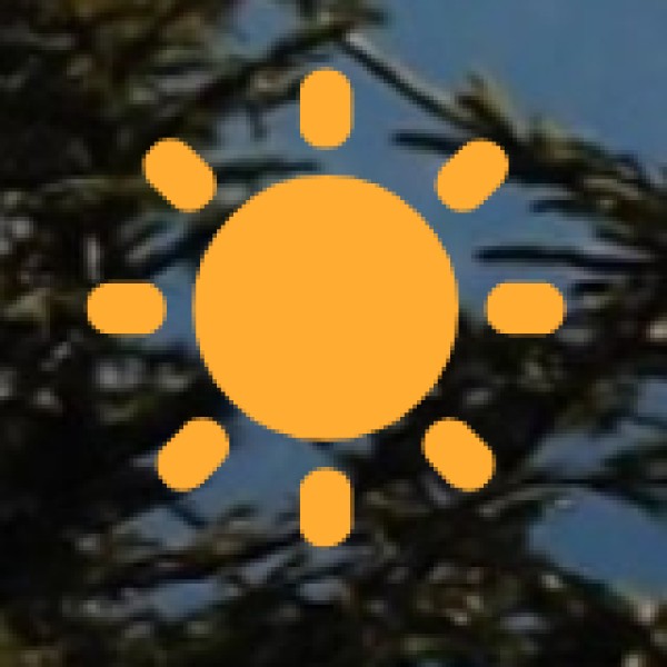 Transportation & Travel Safety