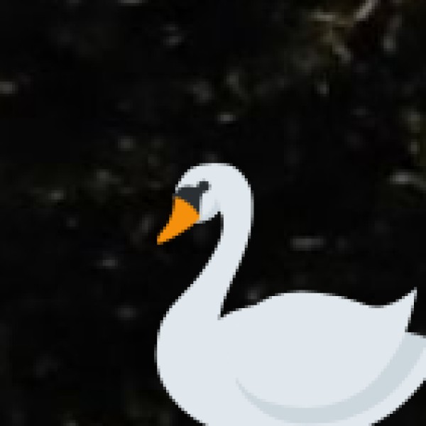 Emergency Contact Numbers