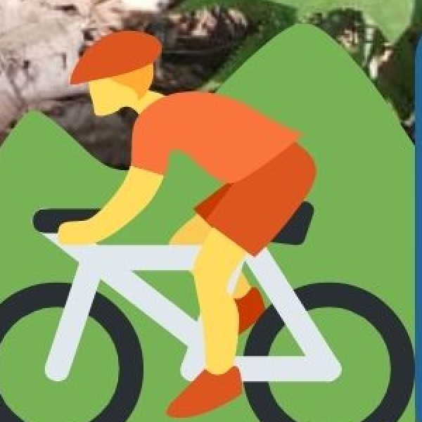 Transport & Getting Around