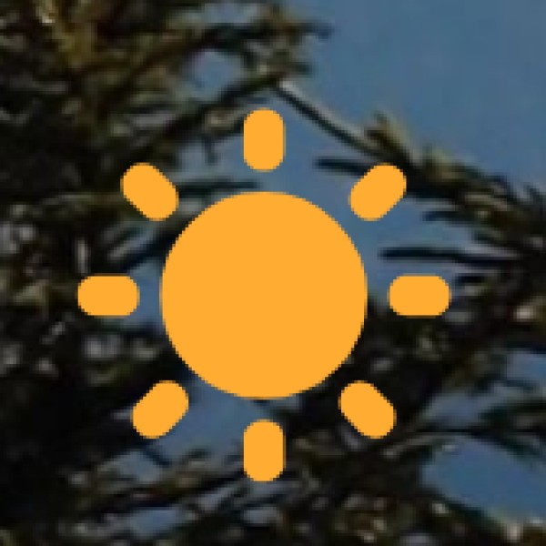 Packing Tips for Bareilly