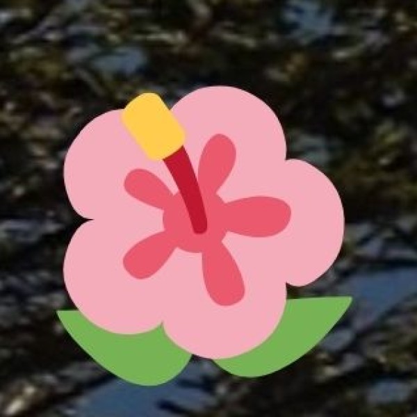 Packing Essentials for Vizag