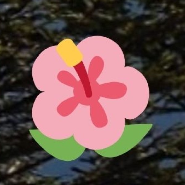 Packing Tips for Noida