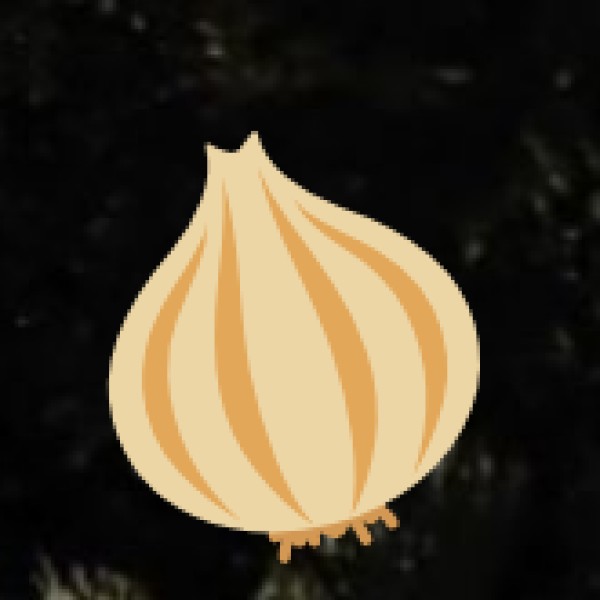 Weather & Packing Tips