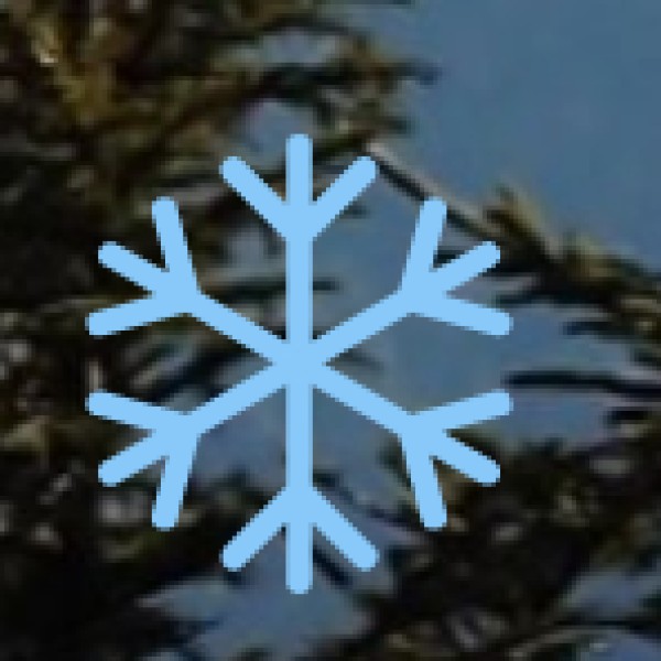 Safety at Sri Venkateswara Temple