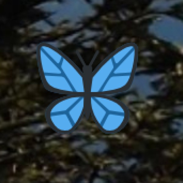 Cultural Etiquette & Do’s & Don’ts in Agra