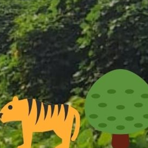 Wildlife & Sanctuary Visits