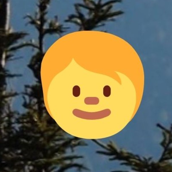 Best Areas to Stay in Noida