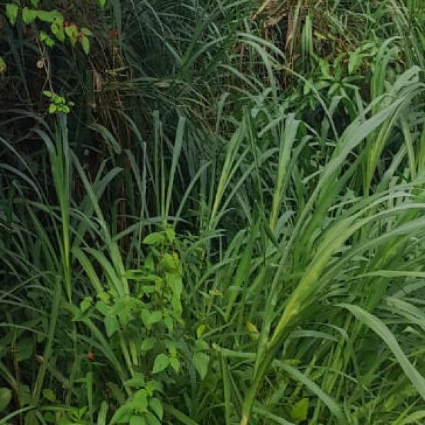 Travel Tips & Safety