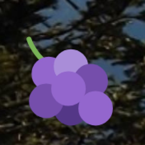 Safety Tips for Tourists in Bareilly