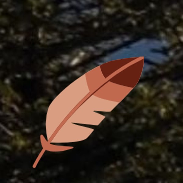 Cultural & Local Etiquette