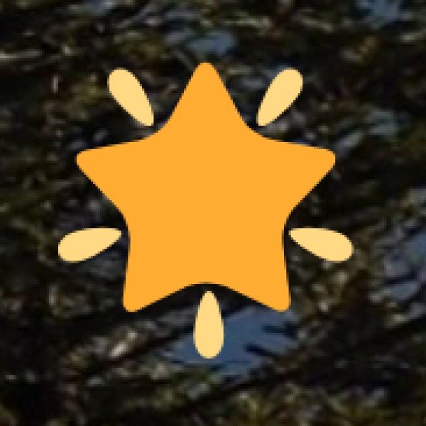 Dargah-e-Ala Hazrat – A Prominent Sufi Shrine