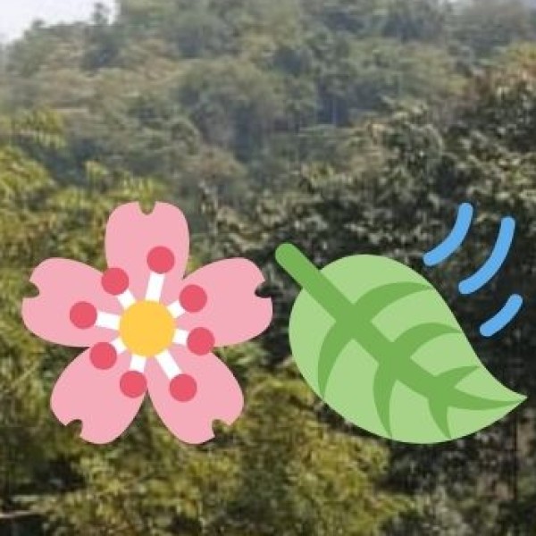 Kolleru Lake Bird Sanctuary