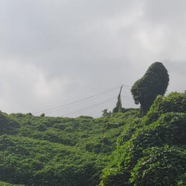 Top places to visit