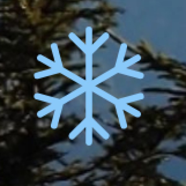 Try Prayagraj’s Famous Street Food