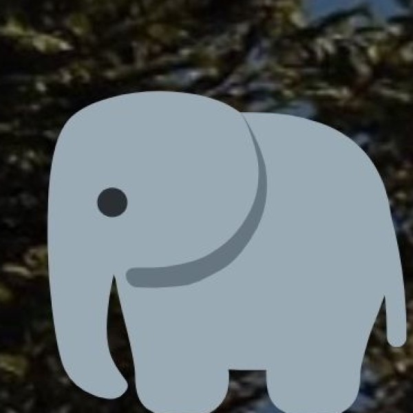 Konni Elephant Training Center