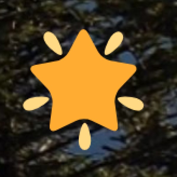 Top Places to Visit in Lucknow