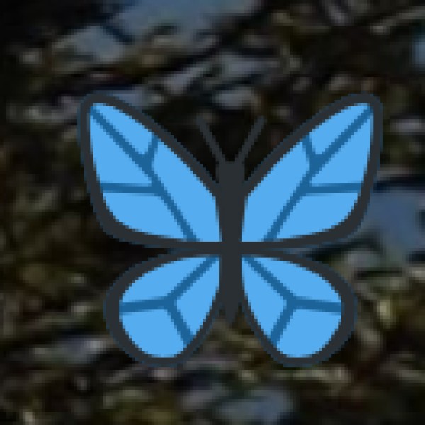 Jinnah Tower  – A Unique Historical Monument