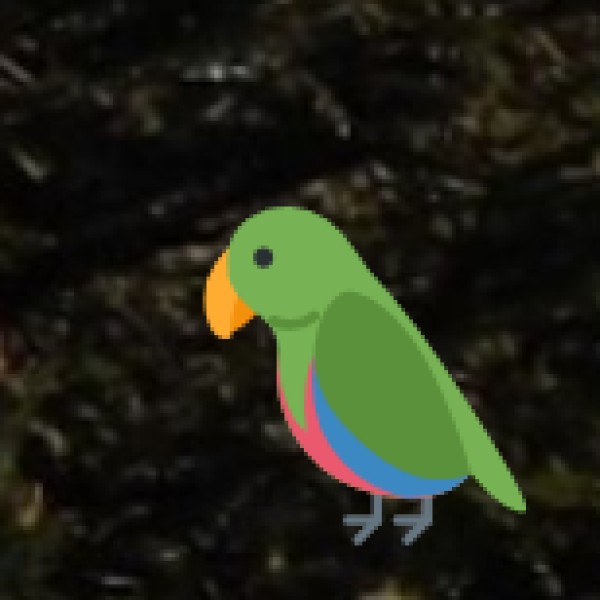 Kumarakom Bird Sanctuary