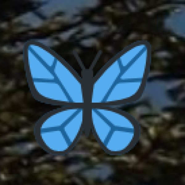 Indirapuram Habitat Centre – The Cultural & Shopping Hub