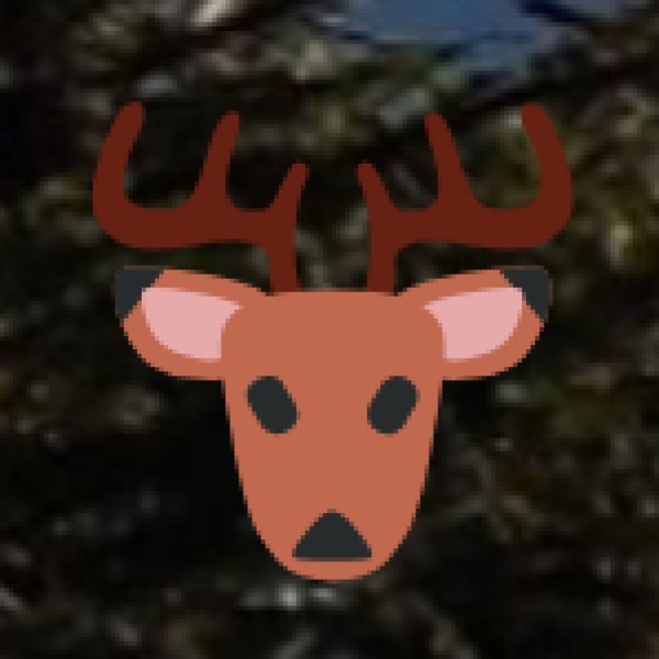 Eravikulam National Park