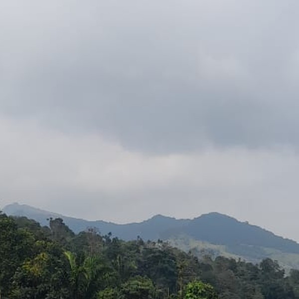 Top Places to Visit in Bhopal