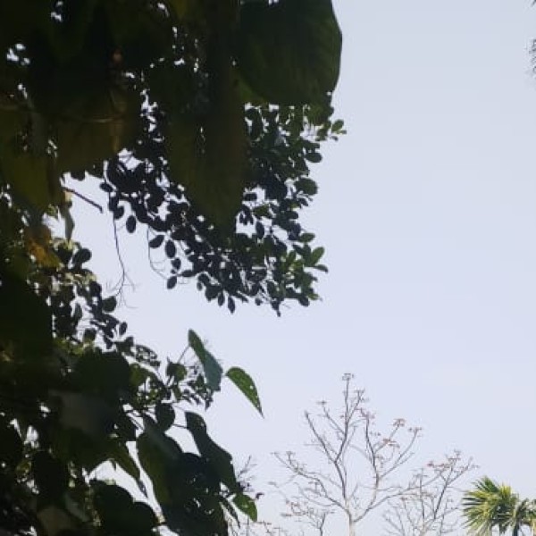 1. Best Attractions in Haldwani