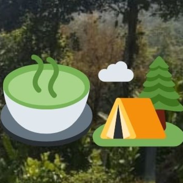 Best Day Trips from Agra