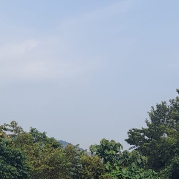 Top places to visit