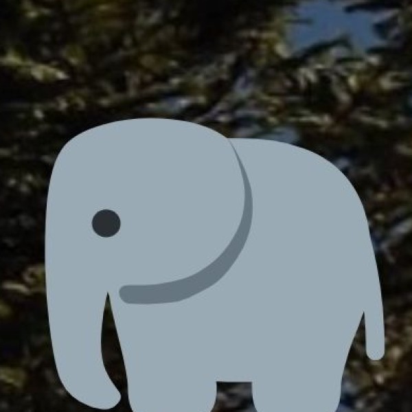 Pookkottur Elephant Shelter