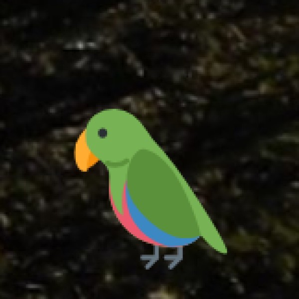 Bird Watching Spots