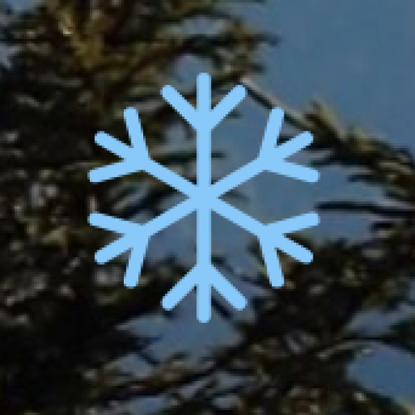 Phoenix United Mall – The Best Shopping & Entertainment Spot