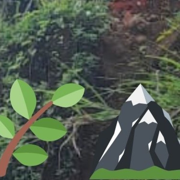 Papikondalu (Papi Hills) – A Scenic Boat Tour