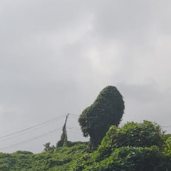 Top Places to Visit in Jabalpur,