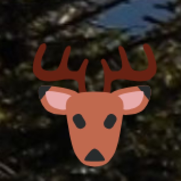 Coringa Wildlife Sanctuary