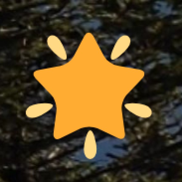 Explore Allahabad Fort – A Mughal-Era Wonder