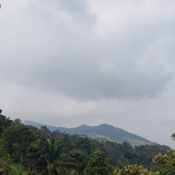 Top places to visit