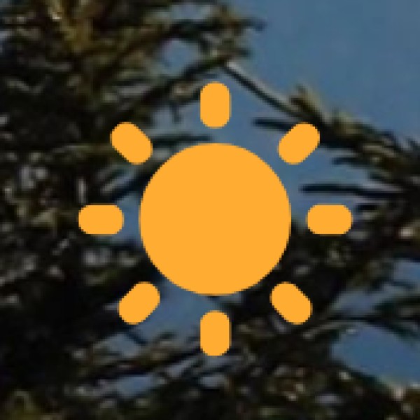 Boat Ride on the Ganges at Sunrise or Sunset