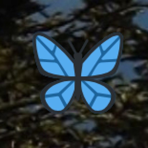 Kushmi Forest – A Paradise for Nature Lovers