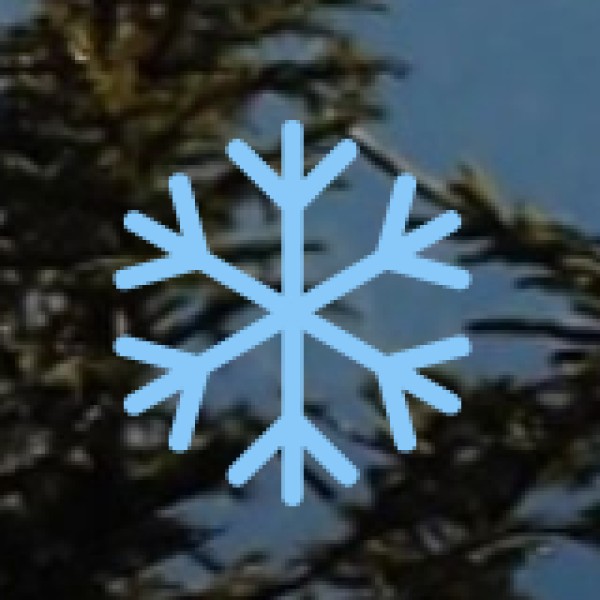 Relax in Alfred Park (Chandrashekhar Azad Park)