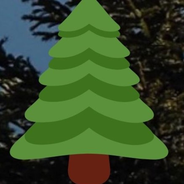 Kashi Vishwanath Temple – The Most Sacred Shiva Temple