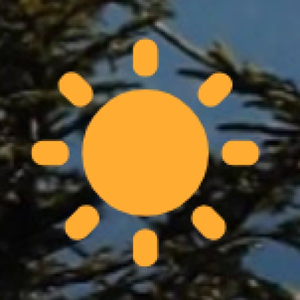 . Basilica of Our Lady of Graces – A Stunning Colonial-Era Church