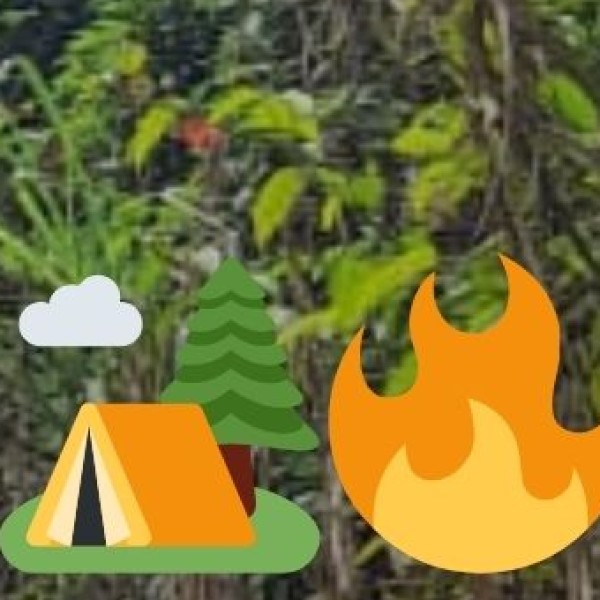 Why Explore These Hidden Gems?