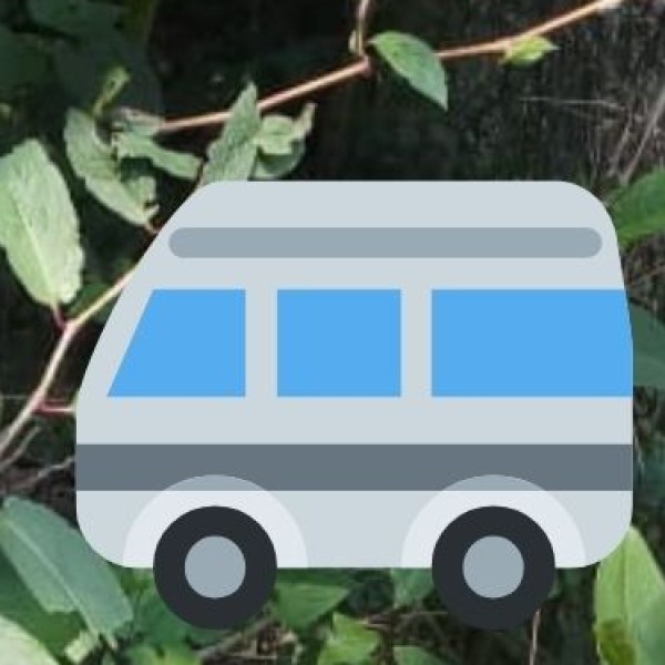 Buses – Budget-Friendly & Widely Available