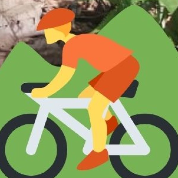 . Road Trips & Bike Expeditions – Explore the Himalayas on Wheels!